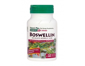 Nature's Plus, Boswellin 300 mg, Συμπλήρωμα Ριτίνης με Αντιφλεμονώδεις Ιδιότητες, Προστατεύει Ιδιαίτερα τις Αρθρώσεις από Εκφυλιστικά Φαινόμενα έπειτα από Παρατεταμένη Φλεγμονή 60 vcaps Nature's Plus, Boswellin 300 mg, Συμπλήρωμα Ριτίνης με Αντιφλεμονώδεις Ιδιότητες, Προστατεύει Ιδιαίτερα τις Αρθρώσεις από Εκφυλιστικά Φαινόμενα έπειτα από Παρατεταμένη Φλεγμονή 60 vcaps