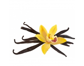 ΣΥΝΔΕΣΜΟΣ Flavour Βανίλια, Έλαιο με άρρωμα βανίλιας, 100 ml 