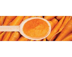 ΣΥΝΔΕΣΜΟΣ BETACAROTENE AQUASOLUBILE 10% 100gr  ΣΥΝΔΕΣΜΟΣ BETACAROTENE AQUASOLUBILE 10% 100gr