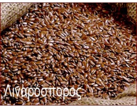 ΣΥΝΔΕΣΜΟΣ ΛΙΝΑΡΟΣΠΟΡΟΣ 1kg 