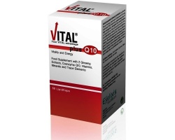Vital Plus Q10 Συμπλήρωμα με Συνένζυμο Q10, συμβάλλει στην Απόκτηση Ενέργειας, Τόνωσης & Αντιοξειδωτικής Προστασίας που χρειάζεται ο Οργανισμός  60caps  Vital Plus Q10 Συμπλήρωμα με Συνένζυμο Q10, συμβάλλει στην Απόκτηση Ενέργειας, Τόνωσης & Αντιοξειδωτικής Προστασίας που χρειάζεται ο Οργανισμός  60caps