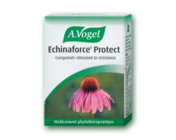 A.Vogel Echinaforce Protect 40Tabs 1140mg, Ταμπλέτες από φρέσκια Echinacea purpurea (εχινάκια) για την ενίσχυση του ανοσοποιητικού