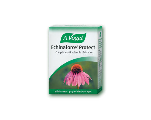 A.Vogel Echinaforce Protect 40Tabs 1140mg, Ταμπλέτες από φρέσκια Echinacea purpurea (εχινάκια) για την ενίσχυση του ανοσοποιητικού A.Vogel Echinaforce Protect 40Tabs 1140mg, Ταμπλέτες από φρέσκια Echinacea purpurea (εχινάκια) για την ενίσχυση του ανοσοποιητικού