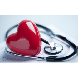 Καρδιά κ Κυκλοφορικό