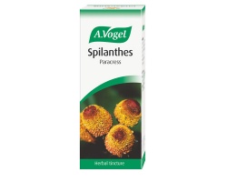 A. Vogel Spilanthes, Εκχύλισμα φρέσκου Σπιλάνθες με αντι-μυκητιασική δράση 50ml A. Vogel Spilanthes, Εκχύλισμα φρέσκου Σπιλάνθες με αντι-μυκητιασική δράση 50ml