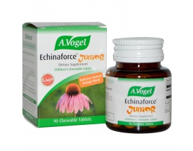 A.Vogel Echinaforce Junior 120 Μασωμενες Ταμπλέτες, Μασσώμενα δισκία με γεύση πορτοκάλι από φρέσκια Echinacea purpurea (εχινάκια) A.Vogel Echinaforce Junior 120 Μασωμενες Ταμπλέτες, Μασσώμενα δισκία με γεύση πορτοκάλι από φρέσκια Echinacea purpurea (εχινάκια)