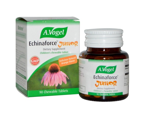 A.Vogel Echinaforce Junior 120 Μασωμενες Ταμπλέτες, Μασσώμενα δισκία με γεύση πορτοκάλι από φρέσκια Echinacea purpurea (εχινάκια) A.Vogel Echinaforce Junior 120 Μασωμενες Ταμπλέτες, Μασσώμενα δισκία με γεύση πορτοκάλι από φρέσκια Echinacea purpurea (εχινάκια)