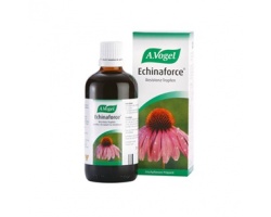A.Vogel Echinaforce Διάλυμα 50ml, Φυτικό αντιβιοτικό, 1 τμχ
