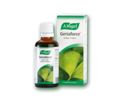 A. Vogel Ginkgoforce Βάμμα από φρέσκα φύλλα Ginkgo Biloba (γκίνγκο) 50 ml A. Vogel Ginkgoforce Βάμμα από φρέσκα φύλλα Ginkgo Biloba (γκίνγκο) 50 ml