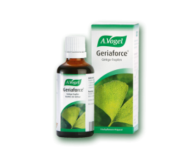 A. Vogel Ginkgoforce Βάμμα από φρέσκα φύλλα Ginkgo Biloba (γκίνγκο) 50 ml