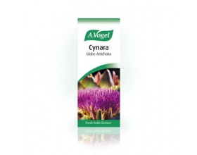 A.Vogel Artichoke cynara drops 50ml, Βάμμα από φρέσκια Aγκινάρα ιδανικό για αντιμετώπιση χοληστερίνης, αποτοξινωτικό, τονωτικό του ήπατος A.Vogel Artichoke cynara drops 50ml, Βάμμα από φρέσκια Aγκινάρα ιδανικό για αντιμετώπιση χοληστερίνης, αποτοξινωτικό, τονωτικό του ήπατος