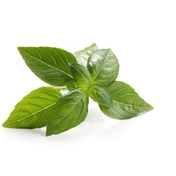 Κατάλληλα για Ομοιοπαθητική Κατάλληλα για Ομοιοπαθητική