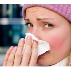 Συνάχι - Καταροή 