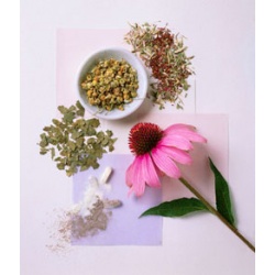 Φυτοθεραπεία