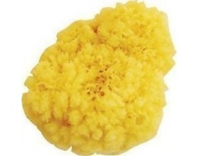 ΣΦΟΥΓΓΑΡΙ ΦΥΣΙΚΟ ΜΕΓΑΛΟ Νο3 1 τεμάχιο 