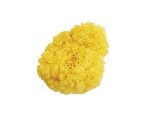 ΣΦΟΥΓΓΑΡΙ ΦΥΣΙΚΟ ΜΕΓΑΛΟ Νο3 1 τεμάχιο  ΣΦΟΥΓΓΑΡΙ ΦΥΣΙΚΟ ΜΕΓΑΛΟ Νο3 1 τεμάχιο