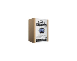 John Noa Caps Black Cumin Συμπλήρωμα Διατροφής με προληπτική δράση έναντι λοιμώξεων και αλλεργιών και θεραπευτικές ιδιότητες έναντι του βρογχικού άσθματος 30caps  John Noa Caps Black Cumin Συμπλήρωμα Διατροφής με προληπτική δράση έναντι λοιμώξεων και αλλεργιών και θεραπευτικές ιδιότητες έναντι του βρογχικού άσθματος 30caps