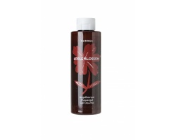 Korres Showergel Apple Blossom Αφρόλουτρο με Ενυδατικές Πρωτείνες Σιταριού ,250ml Korres Showergel Apple Blossom Αφρόλουτρο με Ενυδατικές Πρωτείνες Σιταριού ,250ml