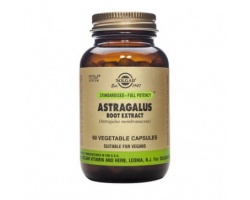 Solgar Astragalus Root Extract 60 κάψουλες Solgar Astragalus Root Extract 60 κάψουλες