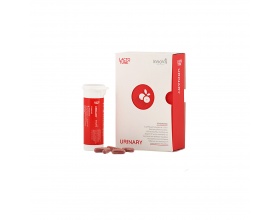 Innovis Health Lactotune Urinary Συμπλήρωμα Διατροφής για την Υγεία του Ουροποιητικού 30 κάψουλες Innovis Health Lactotune Urinary Συμπλήρωμα Διατροφής για την Υγεία του Ουροποιητικού 30 κάψουλες