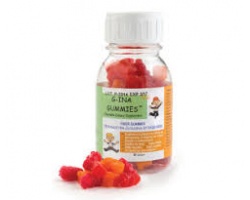 G-INA Gummies Παιδικά Ζελεδάκια Φυτικών Ινών, 60τμχ G-INA Gummies Παιδικά Ζελεδάκια Φυτικών Ινών, 60τμχ