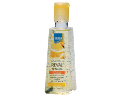 Reval Plus Lemon Αντισηπτικό Τζέλ, 100ml Reval Plus Lemon Αντισηπτικό Τζέλ, 100ml