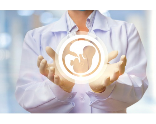 Θερμόμετρο Κολπικό, 1τμχ Θερμόμετρο Κολπικό, 1τμχ