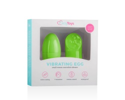 EasyToys Vibrating Egg Με Τηλεχειριστήριο Χρώμα Πράσινο, 1 τμχ EasyToys Vibrating Egg Με Τηλεχειριστήριο Χρώμα Πράσινο, 1 τμχ