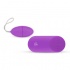 EasyToys Vibrating Egg Με Τηλεχειριστήριο χρώμα Μωβ, 1 τμχ EasyToys Vibrating Egg Με Τηλεχειριστήριο χρώμα Μωβ, 1 τμχ