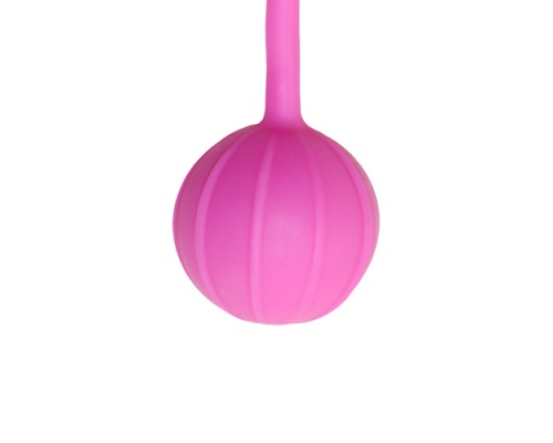 Easytoys Vertical Ribbed Geisha Χάντρες Με Χρώμα Ροζ, 1 τμχ Easytoys Vertical Ribbed Geisha Χάντρες Με Χρώμα Ροζ, 1 τμχ