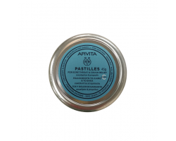 Apivita Pastilles Καραμέλες με ευκάλυπτο & πρόπολη μαλακώνουν το λαιμό & το βήχα 45gr  Apivita Pastilles Καραμέλες με ευκάλυπτο & πρόπολη μαλακώνουν το λαιμό & το βήχα 45gr