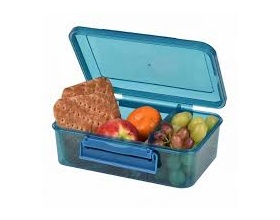 Pollar Gear Δοχείο Φαγητού με Χώρισμα, Χρώμα Μπλέ, 1.5lt