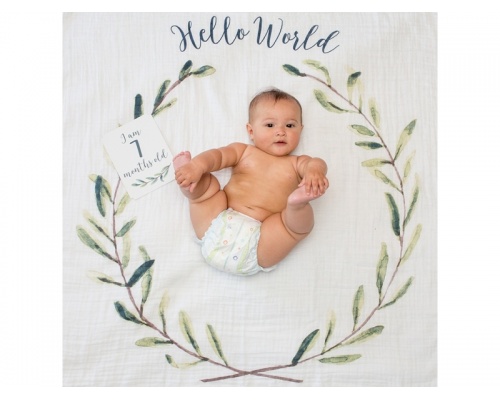 Lulujo Θεματική Μουσελίνα για να Αποθανατήσετε τα Στάδια Ανάπτυξης του Μωρού σας με θέμα "Hello World", 1τμχ Lulujo Θεματική Μουσελίνα για να Αποθανατήσετε τα Στάδια Ανάπτυξης του Μωρού σας με θέμα "Hello World", 1τμχ