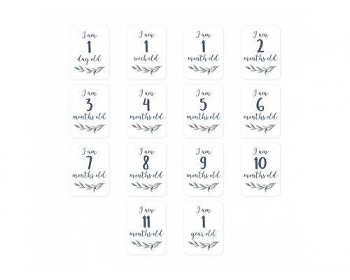 Lulujo Θεματική Μουσελίνα για να Αποθανατήσετε τα Στάδια Ανάπτυξης του Μωρού σας με θέμα "Hello World", 1τμχ Lulujo Θεματική Μουσελίνα για να Αποθανατήσετε τα Στάδια Ανάπτυξης του Μωρού σας με θέμα "Hello World", 1τμχ