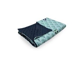 Little Luxuries Βρεφική Κουβερτούλα 2 Όψεων με Σχλεδιο Panda, 1τμχ