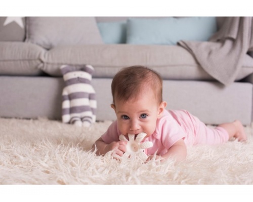 Baby to Love Μασητικό Χταπόδι απο Υψηλής Ποιότητας Σιλικόνη, Χρώμα Ρόζ, 1τμχ Baby to Love Μασητικό Χταπόδι απο Υψηλής Ποιότητας Σιλικόνη, Χρώμα Ρόζ, 1τμχ
