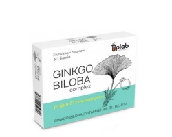 Uplab Ginkgo Biloba Συμπλήρωμα διατροφής για Μνήμη & πνευματική εγρήγορση 30 δισκία  Uplab Ginkgo Biloba Συμπλήρωμα διατροφής για Μνήμη & πνευματική εγρήγορση 30 δισκία