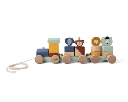 Trixie Wooden Animal Train, Ξύλινο Τρενάκι με Κυβάκια 18+m, 1τμχ.