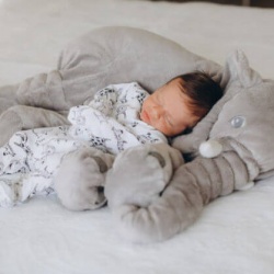 Ζωάκια με Λευκούς Ηχους