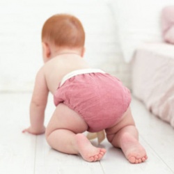 Εσώρουχα Εκπαίδευσης