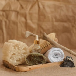 Σφουγγάρια