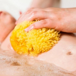 Σφουγγάρια