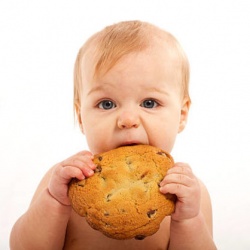 Παιδικά Βρεφικά σνακς και μπισκότα