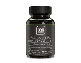 Pharmalead Magnesium Plus Vitamin B6 Συμπλήρωμα Διατροφής για την Ομαλή Λειτουργία των Μυών & του Νευρικού Συστήματος, 60 κάψουλες Pharmalead Magnesium Plus Vitamin B6 Συμπλήρωμα Διατροφής για την Ομαλή Λειτουργία των Μυών & του Νευρικού Συστήματος, 60 κάψουλες