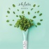 Ohlala Toothpaste Fresh Mint Οδοντόκρεμα με Γεύση Γλυκιά Μέντα, 75ml Ohlala Toothpaste Fresh Mint Οδοντόκρεμα με Γεύση Γλυκιά Μέντα, 75ml