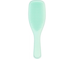 Tangle Teezer Detangling Hairbrush Fine & Fragile Mint Βούρτσα Μαλλιών για Ξεμπέρδεμα, 1τμχ Tangle Teezer Detangling Hairbrush Fine & Fragile Mint Βούρτσα Μαλλιών για Ξεμπέρδεμα, 1τμχ