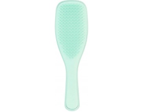 Tangle Teezer Detangling Hairbrush Fine & Fragile Mint Βούρτσα Μαλλιών για Ξεμπέρδεμα, 1τμχ
