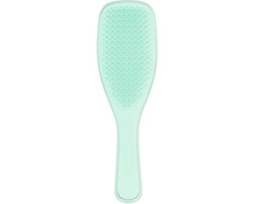 Tangle Teezer Detangling Hairbrush Fine & Fragile Mint Βούρτσα Μαλλιών για Ξεμπέρδεμα, 1τμχ Tangle Teezer Detangling Hairbrush Fine & Fragile Mint Βούρτσα Μαλλιών για Ξεμπέρδεμα, 1τμχ
