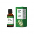 Kanavos Essential Oil Tea Tree Αιθέριο Έλαιο Τεϊόδεντρο, 20ml