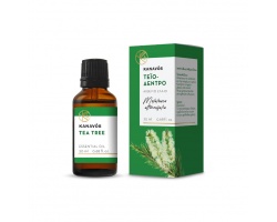 Kanavos Essential Oil Tea Tree Αιθέριο Έλαιο Τεϊόδεντρο, 20ml Kanavos Essential Oil Tea Tree Αιθέριο Έλαιο Τεϊόδεντρο, 20ml